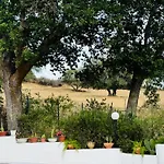 Gio Villa *