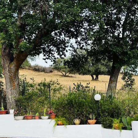 Gio Villa *