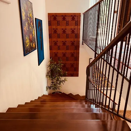 Gio * Nicosia